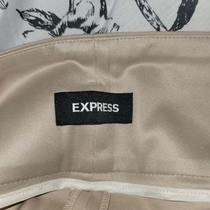 Express Large beige safari pants